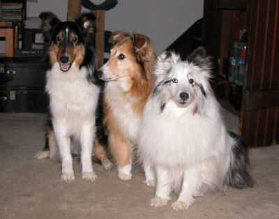 Jayda, Sally and Bryce