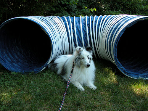 Bryce and his new tunnel