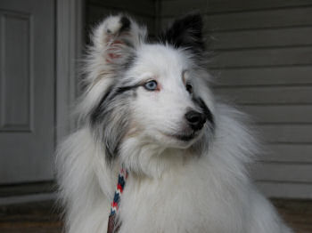 Bryce's handsome face