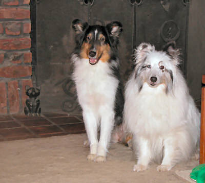 Jayda and Bryce in front of the fireplace 10/2007