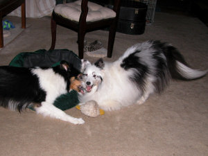 Jayda Bryce and the Yucky Duck