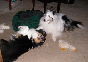 Jayda, Bryce and Ducky