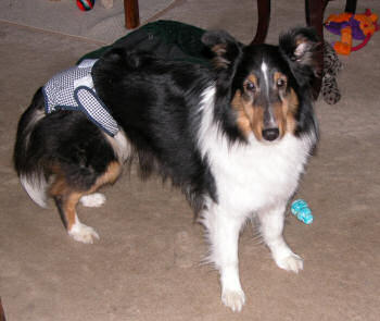 Jayda's urban fashion