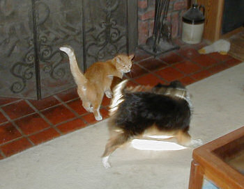 Raven tries to get Jasmine to play